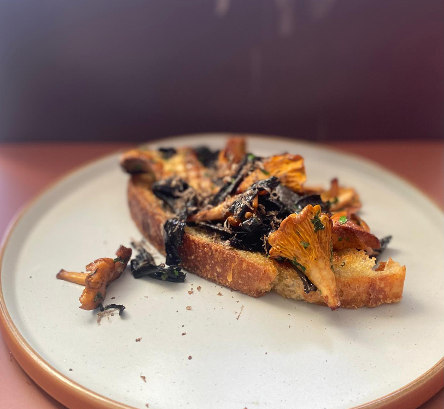 WhatsApp Image 2026-01-14 at 2.38.03 PM