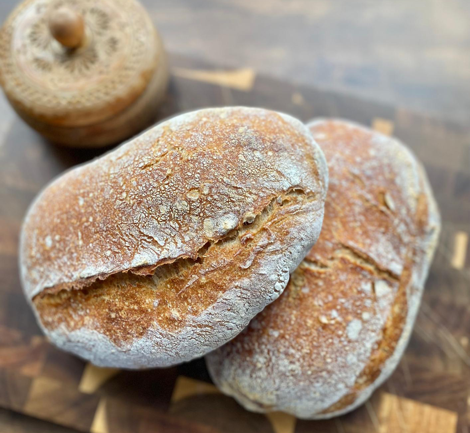 WhatsApp Image 2026-02-26 at 7.34.56 PM