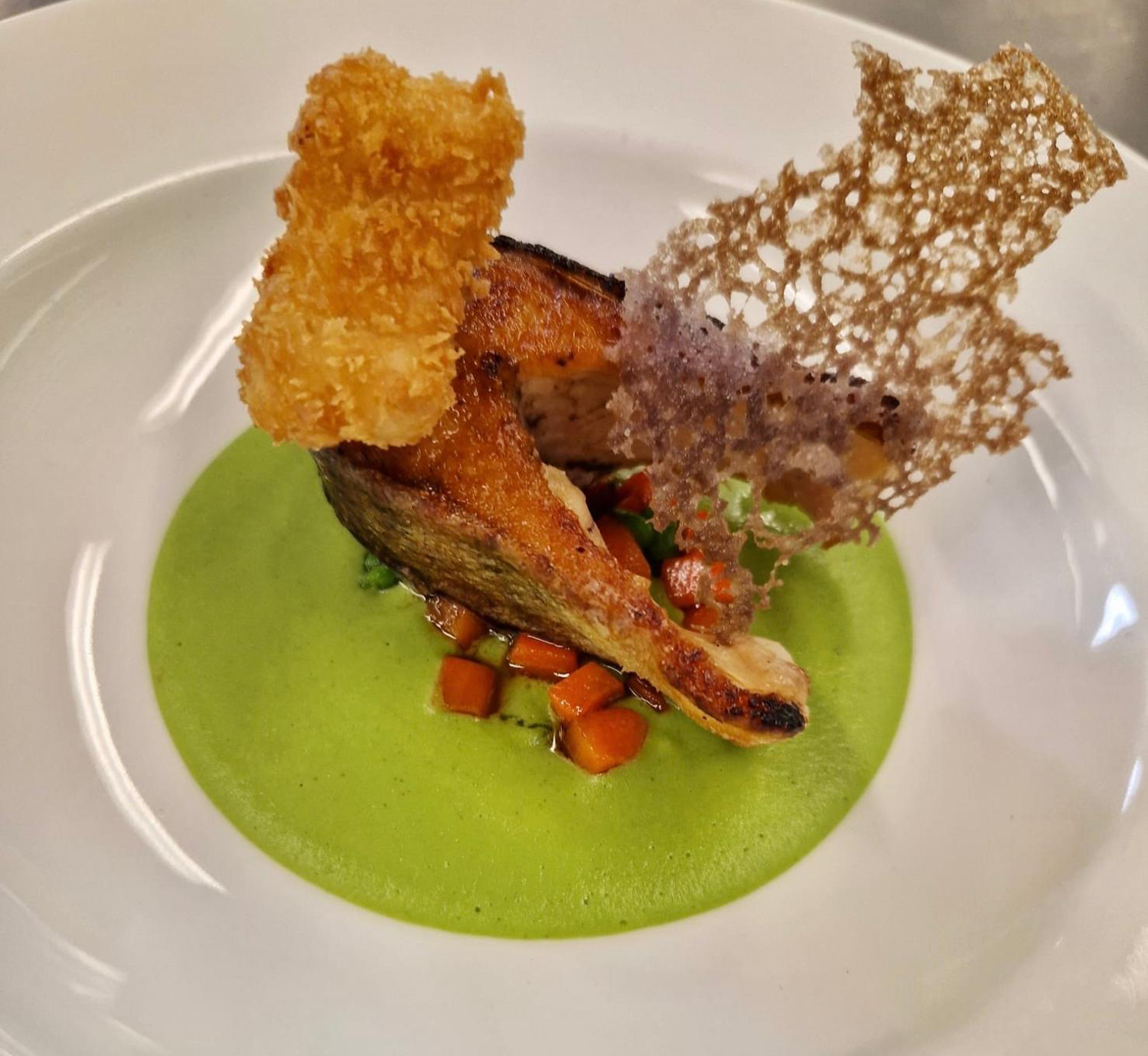 WhatsApp Image 2026-02-26 at 7.34.57 PM (1)