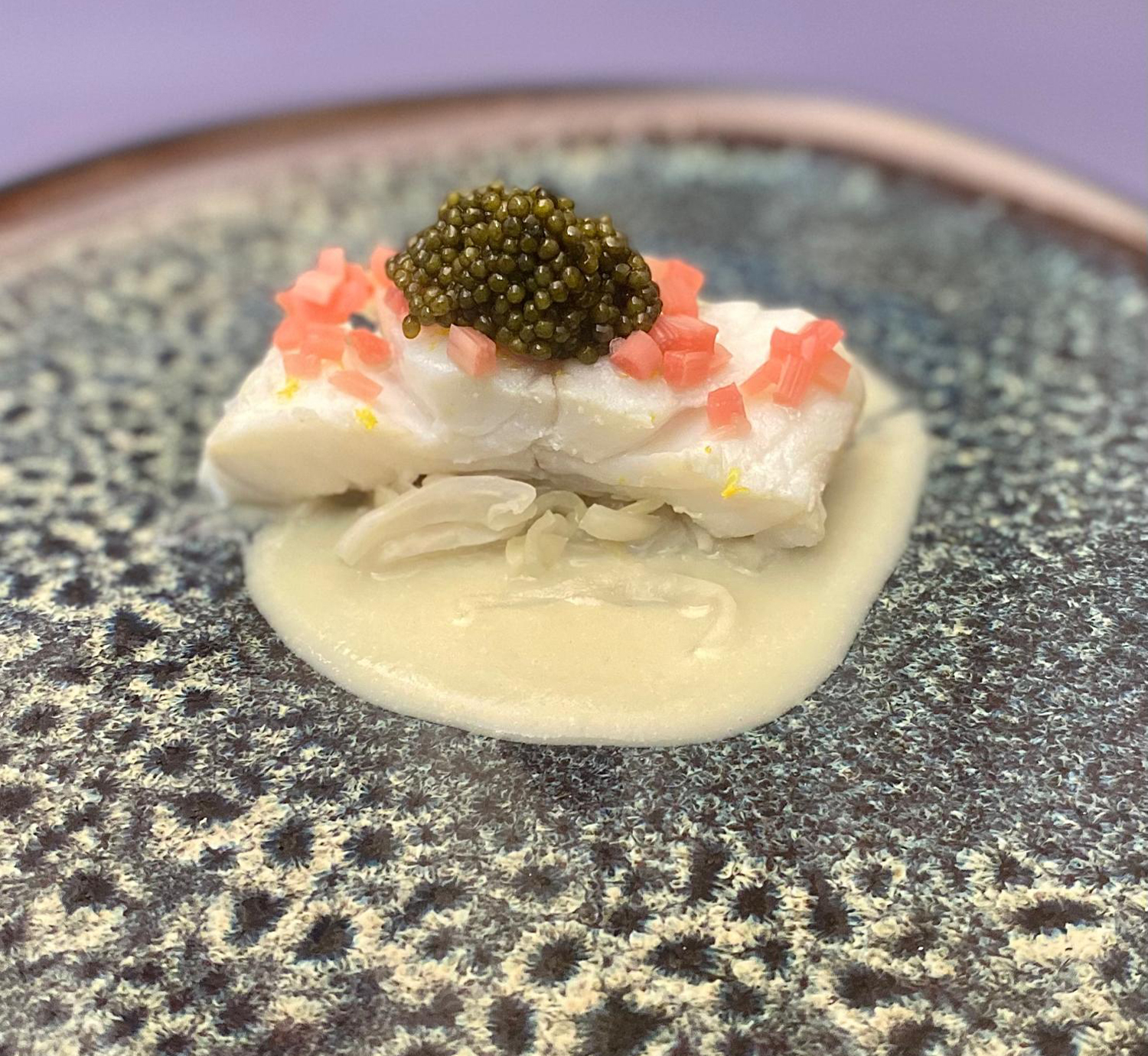 WhatsApp Image 2026-02-27 at 3.09.50 AM (1)